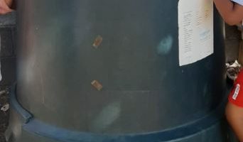 LE BAC A COMPOST CHEZ LES MOYENNES SECTIONS