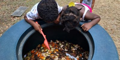 L’utilisation du compost en PS 2 (2)