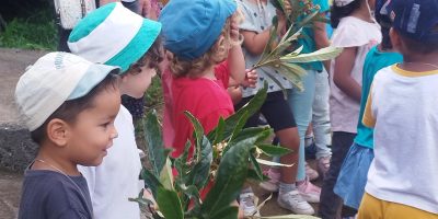 L’école Elie en visite à la ferme Crescence.