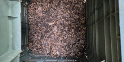 Compost en pause: plus de matière sèche, trop d’humidité