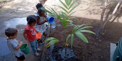 Arrosage des plantations