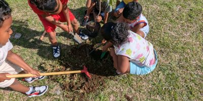 Une forêt dans l’école