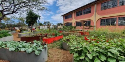 Visite au jardin pédagogique Bolon, An Gren Koulèr.