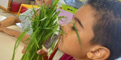 Ateliers avec Lucille de Gout Nature