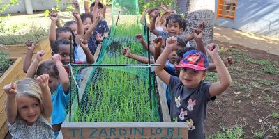 Le riz : de la récolte à la plantation paillée