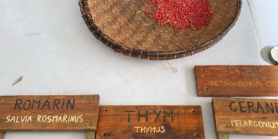 ATELIER AROMATIK A ENDEMIA