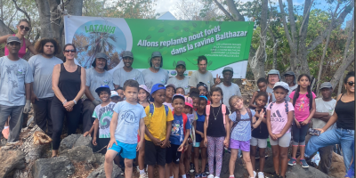 Reforestation de la forêt sèche sur la zone Balthazar