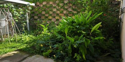 Notre jardin au cœur de l’école