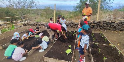 Du jardin à la nature à l’école maternelle