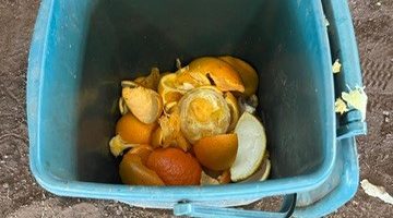 KAZ MARRON : compost et toilettes sèches