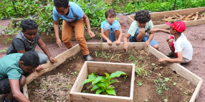 Le potager de l’école de la Grande Ravine
