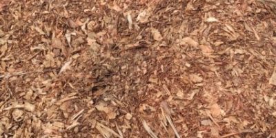 paillage et compost