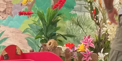 L’intervention de Monde et Nature : de la graine à la plante