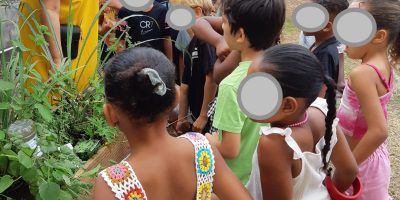 Apprenons les plantes