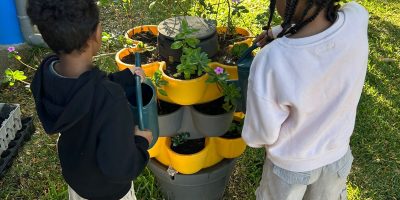 Un jardin fleuri
