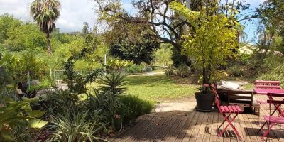 A la recherche des plantes endémiques de la Réunion au jardin d’Eden