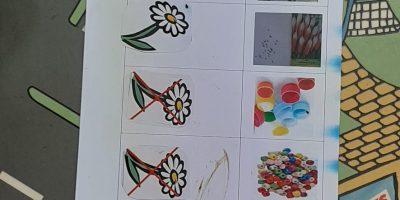 Définition d’une graine