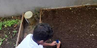 La création d’un nouveau potager pour les CP