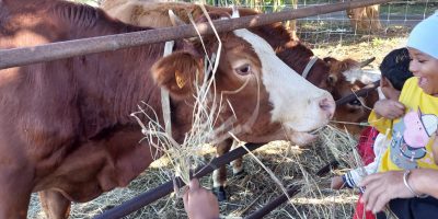 La ferme Crescence