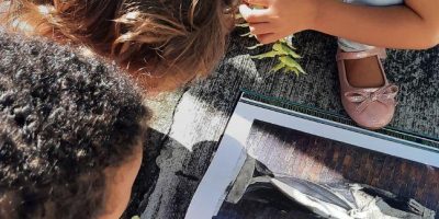 Ecole du dehors ; à la croisée de l’environnement et des apprentissages fondamentaux