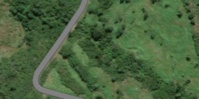 Sortie des CP au sentier Endémia