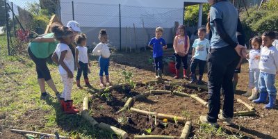 MISE EN PLACE D’UN ROND POTAGER DANS NOTRE JARDIN – Intervention d’une association