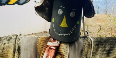Les défis du Potager de Pok Pok