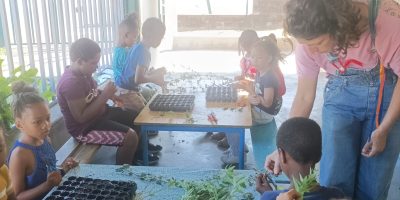 Bouturages et repiquages…