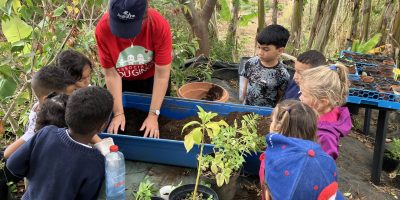 LES CP DE LOUISE SIARANE AU JARDIN ENDEMIA