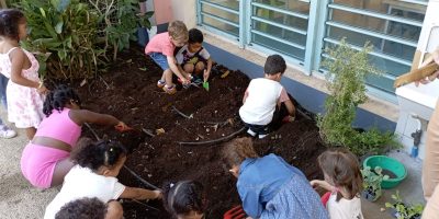 Plantation d’un nouveau carré potager