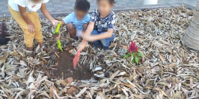 Planter graines et semis