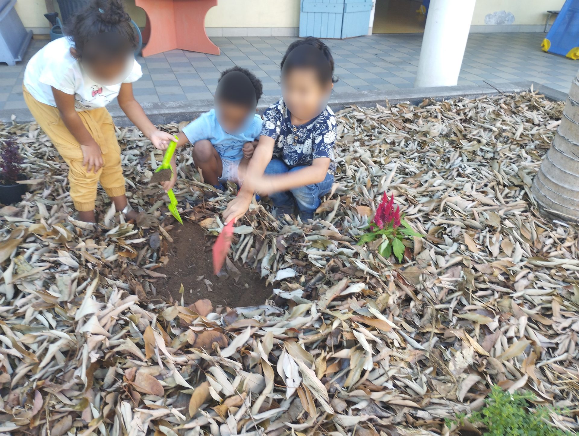 Planter graines et semis