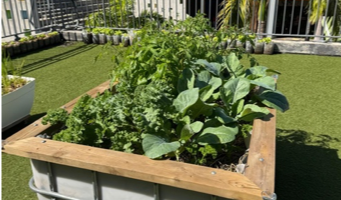 Des jardinières dans la cour des maternelles