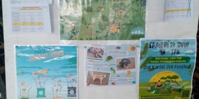 Sortie scolaire au sentier Endémia