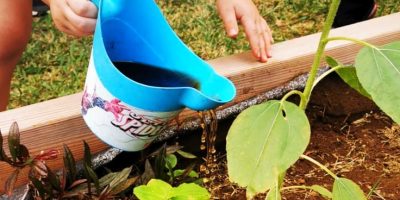 Une potion magique pour notre potager !