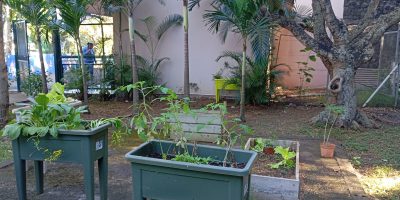 les derniers achats pour le jardin de Piton A