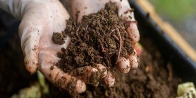 Le Lombricomposteur de la classe de CPb