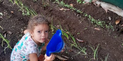 Création d’un potager par les élèves de moyenne section