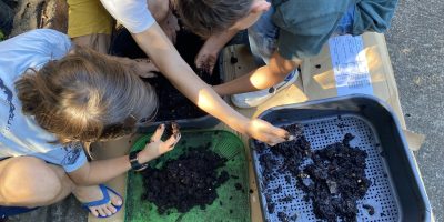 L’utilisation de notre compost