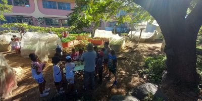Plantation dans notre jardin partagé
