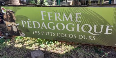 Sortie à la ferme des cocos
