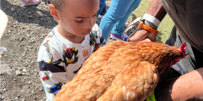 Visite de la ferme pédagogique LE DOMAINE PALSSADE à saint André