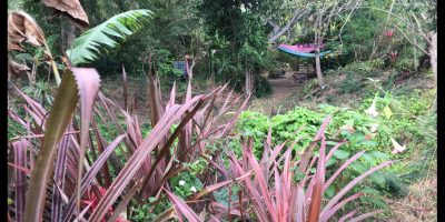 Sortie “au jardin de Paulo”