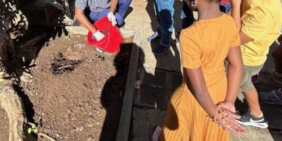 1/ Plantation et embellissement de la cour de l’école :