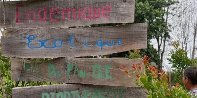 Sorite à l’arche de Marie