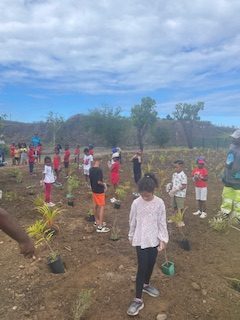 Végétalisation aux abords de l’école