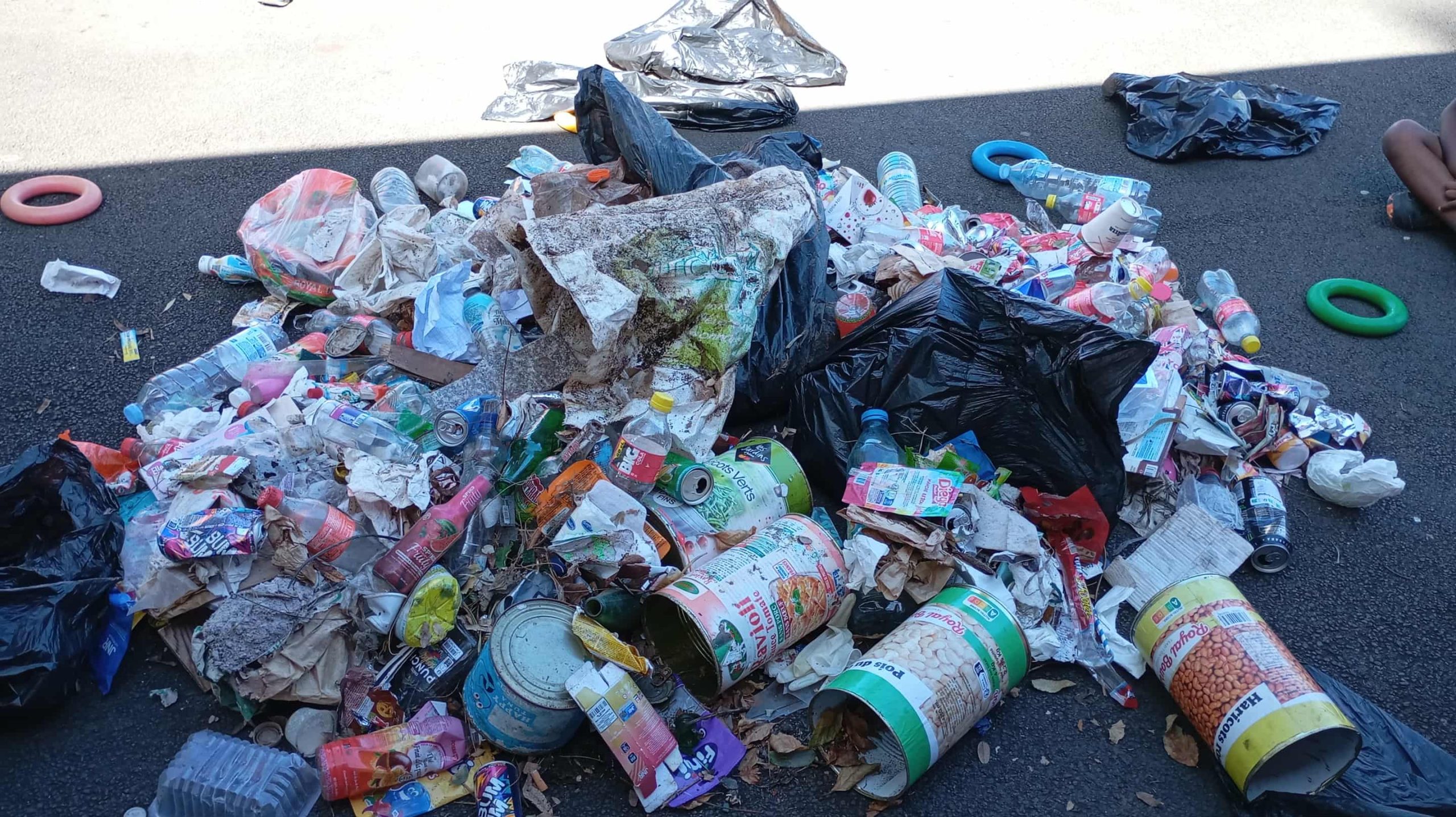 la clean up day de cette année