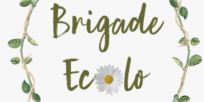 Des brigades écologiques au Bernica