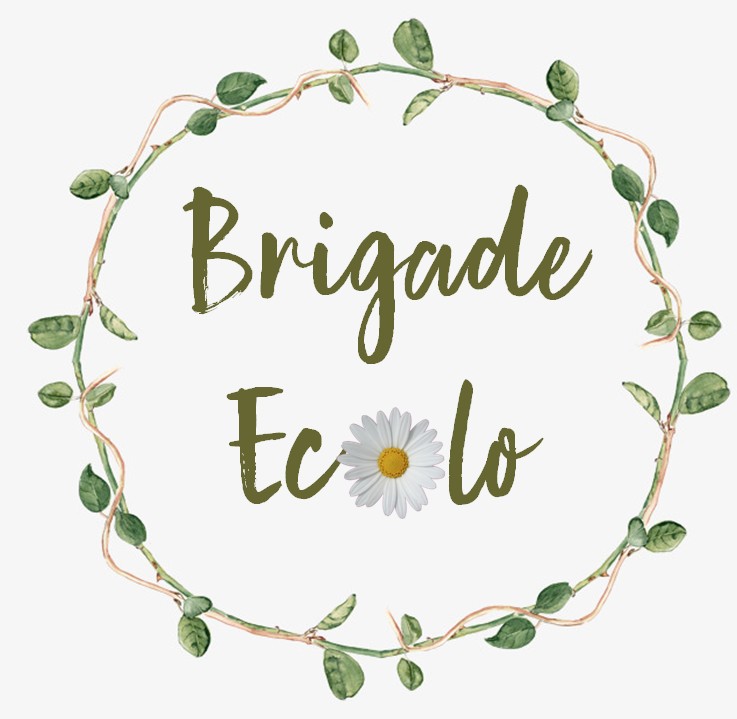 Des brigades écologiques au Bernica