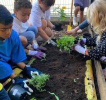 Création d’un jardin potager avec Perma’kiltir